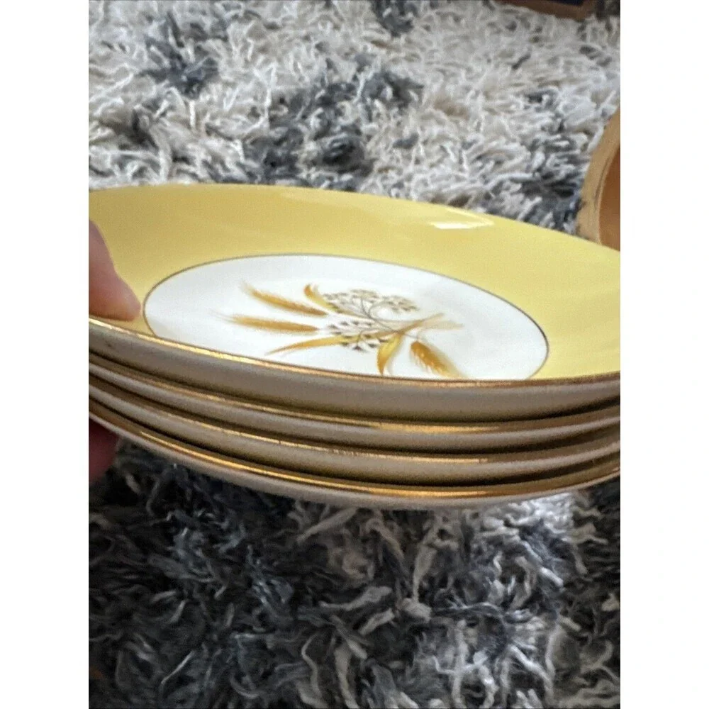 20 Piece Century Service Corp Autumn Gold Dinner Plate Plates and Bowls